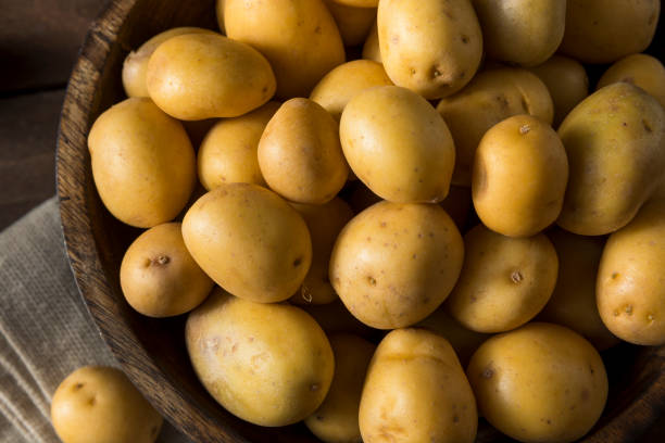 Smooth-skinned golden Yukon potatoes, ideal for rich and creamy dishes.